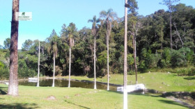 Fazenda à Venda, 121.000 m² em Capela Do Cepo - São Roque