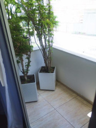 Apartamento com 3 Quartos à Venda, 102 m² em Pituba - Salvador