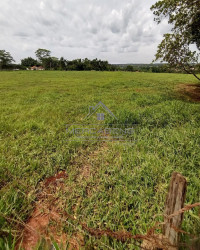 Terreno à Venda,  em Rod. Délcio Custódio Da Silva - Ipiguá