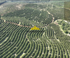 Fazenda à Venda, 170 m² em Rural - Angatuba