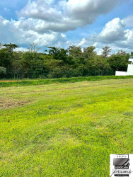 Terreno à Venda, 460 m² em Alphaville Nova Esplanada - Votorantim