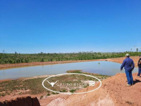 Fazenda à Venda, 23 m² em Zona Rural - Aripuanã