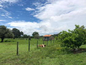 Fazenda à Venda, 1 m² em Zona Rural - Arraias