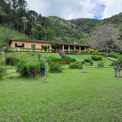 Fazenda à Venda, 56 m² em área Rural De São José Dos Campos - São José Dos Campos