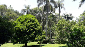 Chácara com 4 Quartos à Venda, 19.000 m² em Bairro Do Carmo - São Roque