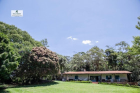 Fazenda à Venda, 71.000 m² em Mailasqui - São Roque