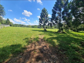 Terreno à Venda, 20.000 m² em Colônia Dona Luíza - Ponta Grossa