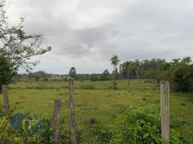Fazenda à Venda, 170.000 m² em Centro - Torres