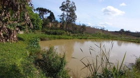 Chácara à Venda, 9.075 m² em Zona Rural - Quitandinha