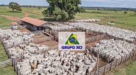 Fazenda à Venda, 44.500.000 m² em Zona Rural - Cana Brava Do Norte