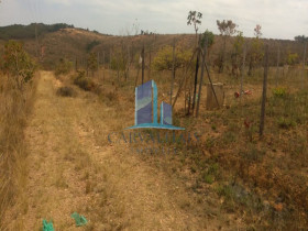 Terreno à Venda, 5.000 m² em Zona Rural - Caetanópolis