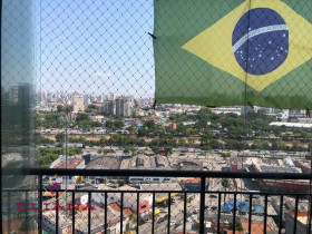 Apartamento com 3 Quartos à Venda, 67 m² em Piqueri - São Paulo