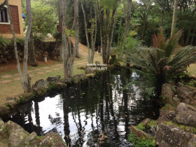 Imóvel com 6 Quartos à Venda,  em Pau Arcado - Campo Limpo Paulista