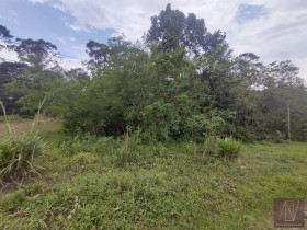 Terreno à Venda, 260 m² em Massaguaçu - Caraguatatuba