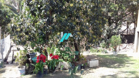 Fazenda à Venda, 2.000 m² em Casa Amarela (charneca) - Betim