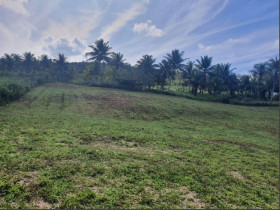 Fazenda à Venda, 55.700 m² em Itariri - Conde