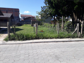 Terreno à Venda,  em São João Do Rio Vermelho - Florianópolis