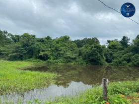 Fazenda à Venda, 70 m² em Zona Rural - Jaraguá