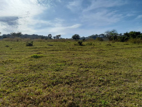 Fazenda à Venda, 290 m² em Zona Rural - Tupaciguara
