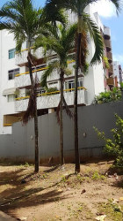 Apartamento com 3 Quartos à Venda, 117 m² em Pituba - Salvador