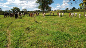 Fazenda à Venda, 23 m² em Zona Rural - Caldas Novas