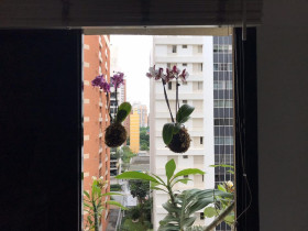 Apartamento com 1 Quarto à Venda, 44 m² em Indianópolis - São Paulo