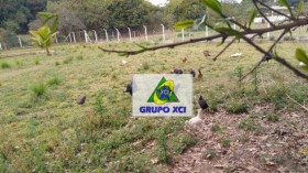 Fazenda à Venda, 13 m² em Guedes - Jaguariúna