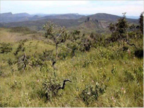 Fazenda à Venda, 580.800 m² em Zona Rural - Analândia