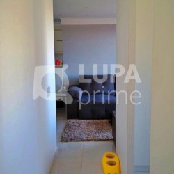 Apartamento com 3 Quartos à Venda, 65 m² em Parque Vitória - São Paulo