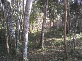 Terreno à Venda, 1.889 m² em Caputera - Cotia