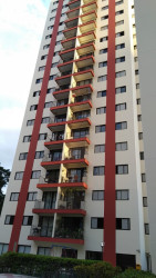 Apartamento com 3 Quartos para Alugar, 77 m² em Parque Residencial Julia - São Paulo