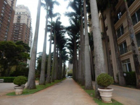 Apartamento com 2 Quartos para Alugar,  em Jardim Panorama - São Paulo