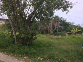 Terreno à Venda, 231 m² em Rio Vermelho - Florianópolis