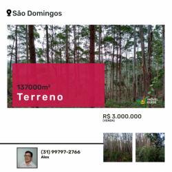 Terreno à Venda, 137.000 m² em São Domingos - Bias Fortes