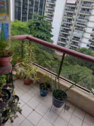 Apartamento com 2 Quartos à Venda,  em Barra da Tijuca - Rio de Janeiro