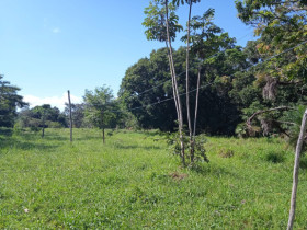 Terreno à Venda, 3.655.251 m²em Estância Vargem Bonita - Senador Canedo