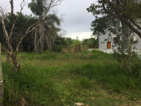 Terreno à Venda, 231 m² em Rio Vermelho - Florianópolis