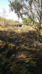 Terreno à Venda, 39.800 m² em Castanho - Jundiaí